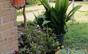 B&B Porte Rosse